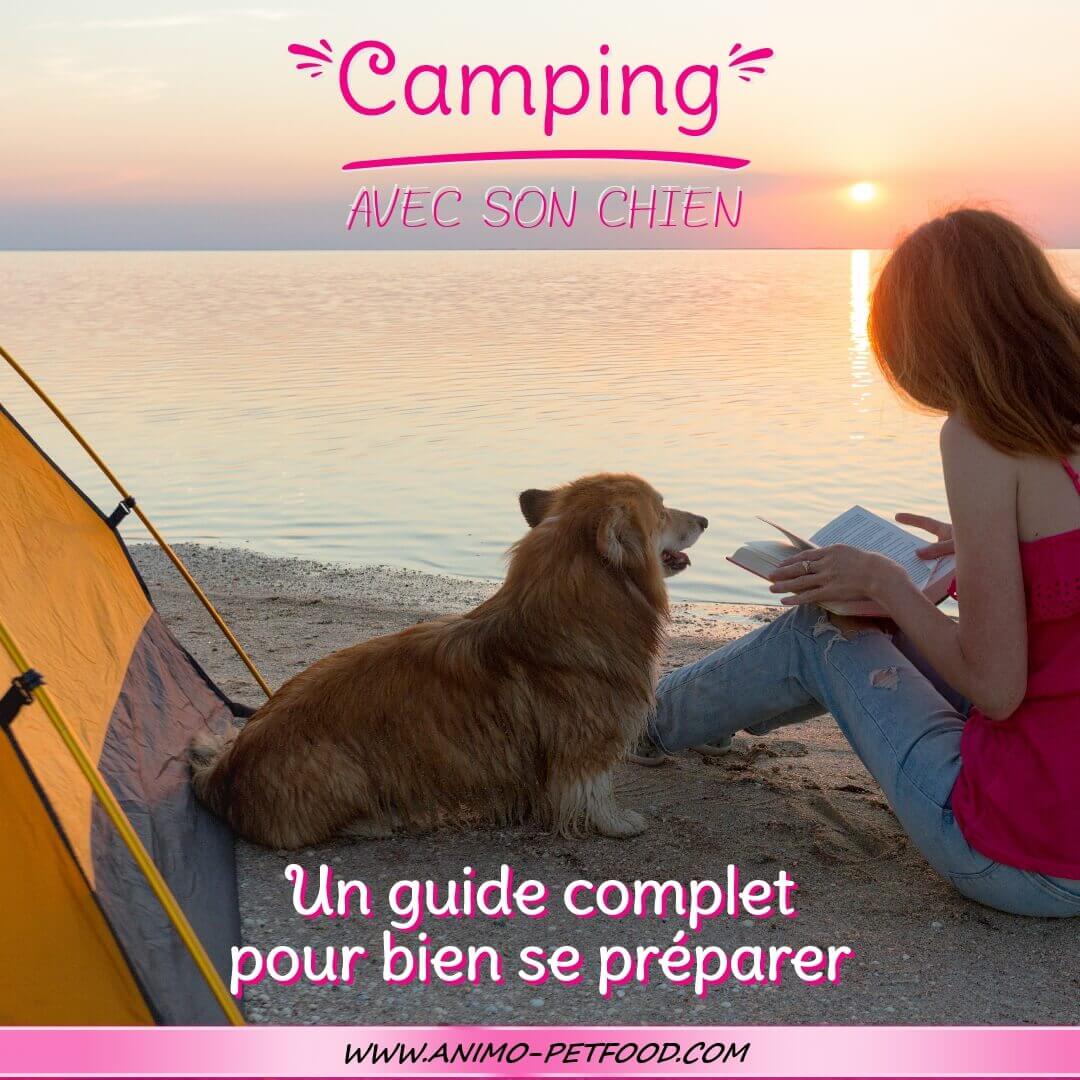 Vacances en camping avec son chien